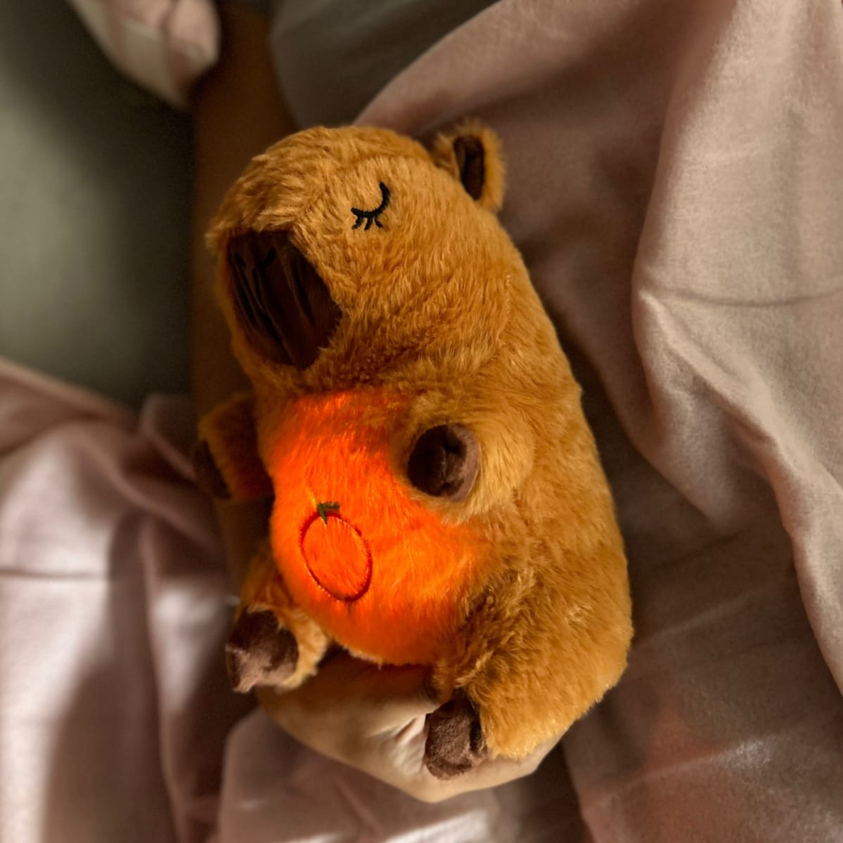 🐾Peluche Capybara que Respira🐾